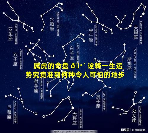 属虎的命盘 🪴 诠释一生运势究竟准到何种令人可怕的地步